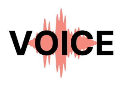Voice Project Logo